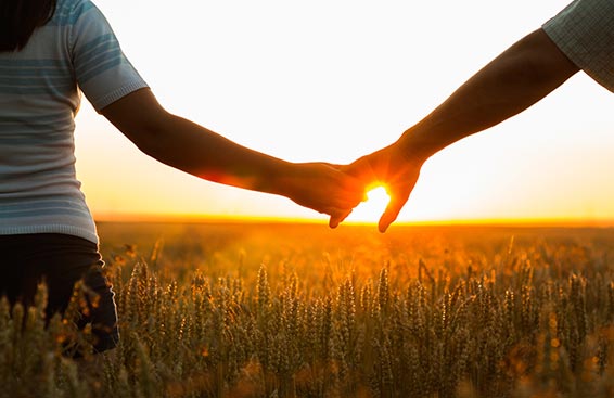 Something for Everyone