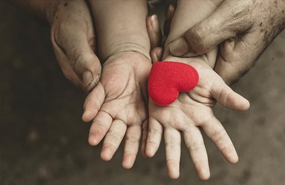 Six Questions to Ask Before Adopting