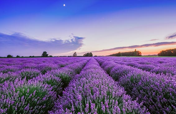 How to Make your Church Irresistible