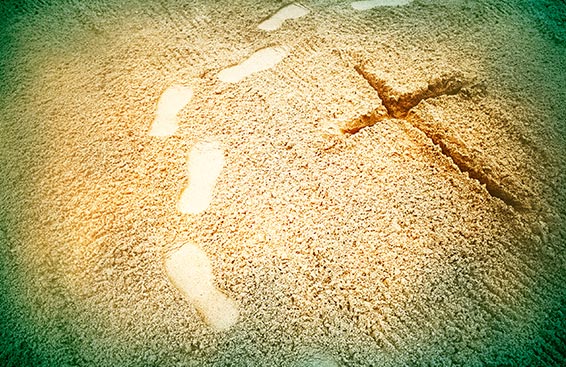 Making Disciples, Not Diaper Changers