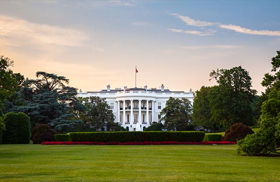 Healing From The 2016 Election For A Healthy 2017