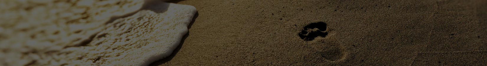 Fostering a Culture of Evangelism in Your Church