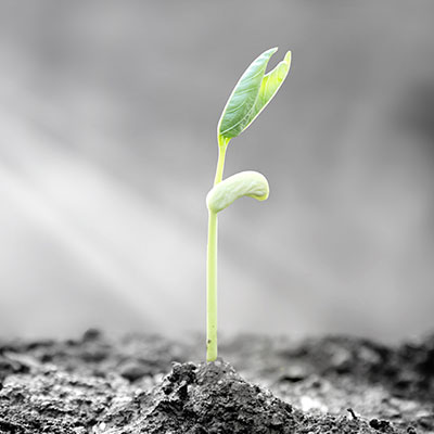 Three Ways We Can Respond in Love to the Charlottesville Rally