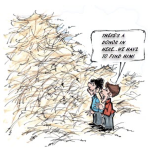 cartoon of two people looking at a pile of hay saying 'there is a donor in here, we have to find him'