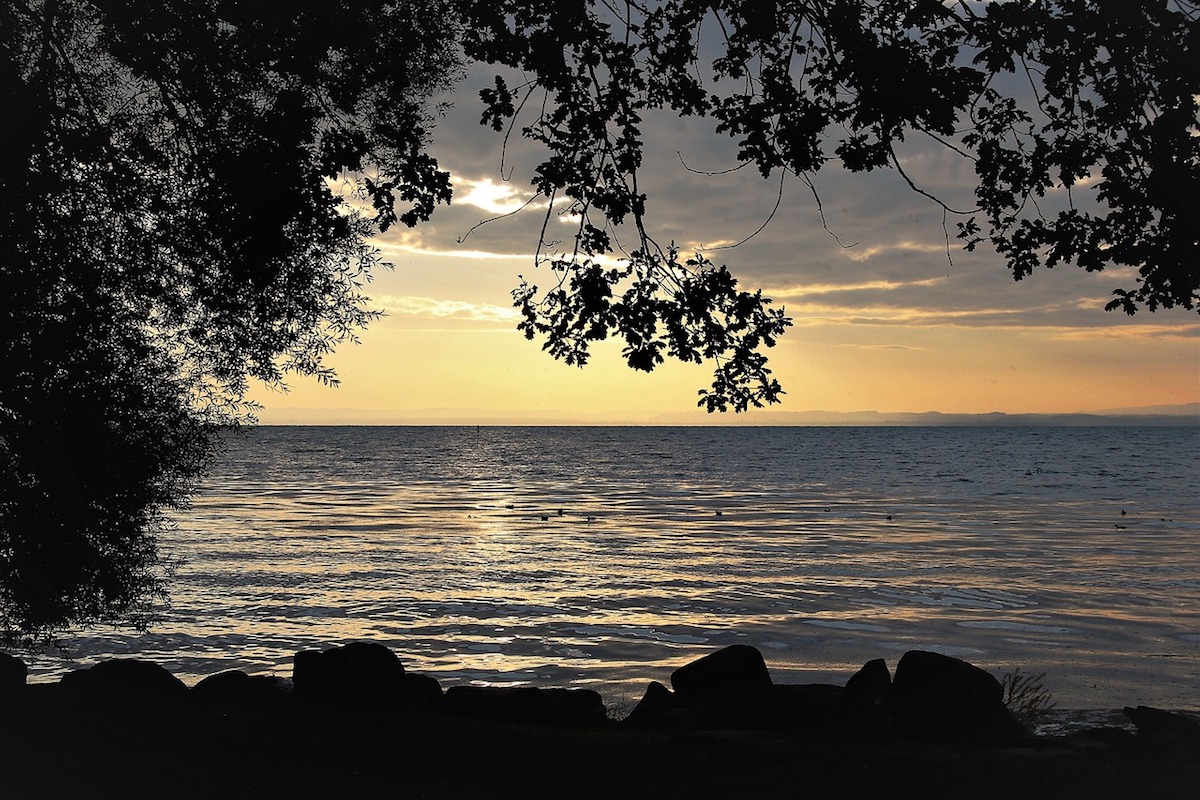 The Beautiful and Terrifying Silence You Need