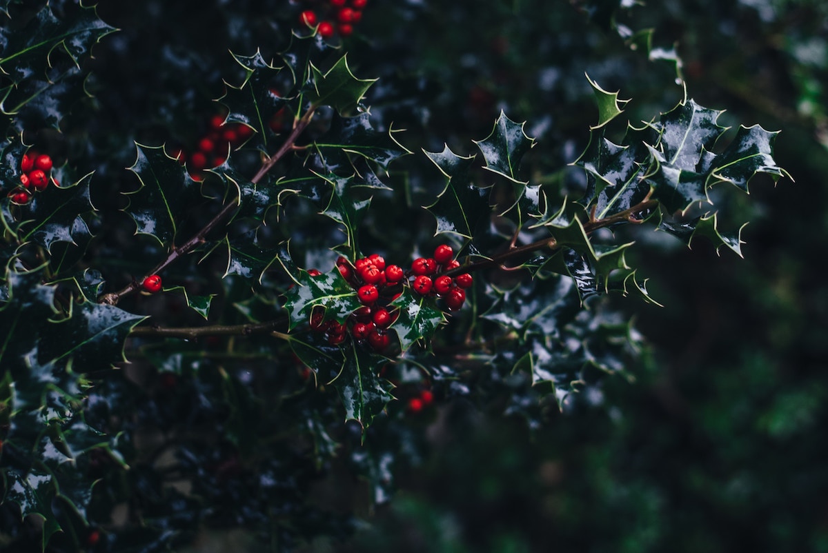 Christmas Away From Home