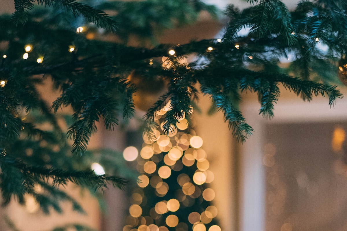 Jesus, the Grandest Story of All