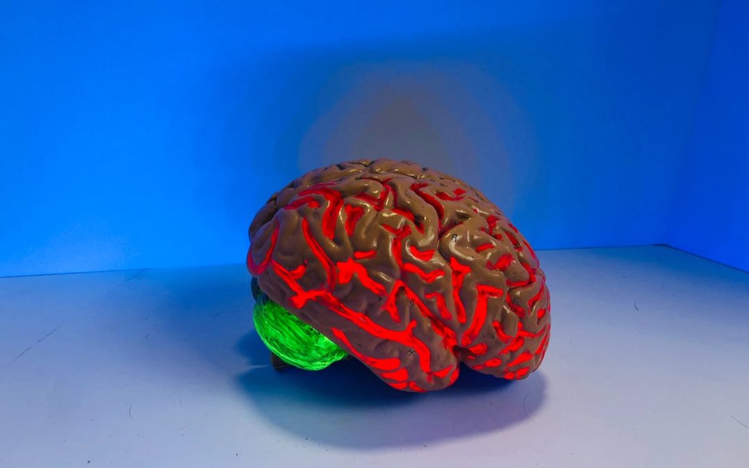 Loving God with Our Minds: How the Brain Forms Character and Habits of Faith