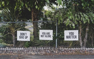 Why so many pastoral suicides