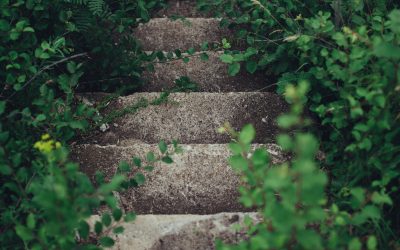 Take the First Bold Step