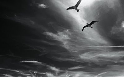 She Reminds Me of You