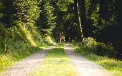 Using Exercise to Enhance Your Health