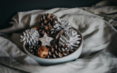 Hope for the Holidays When Your Heart is Breaking