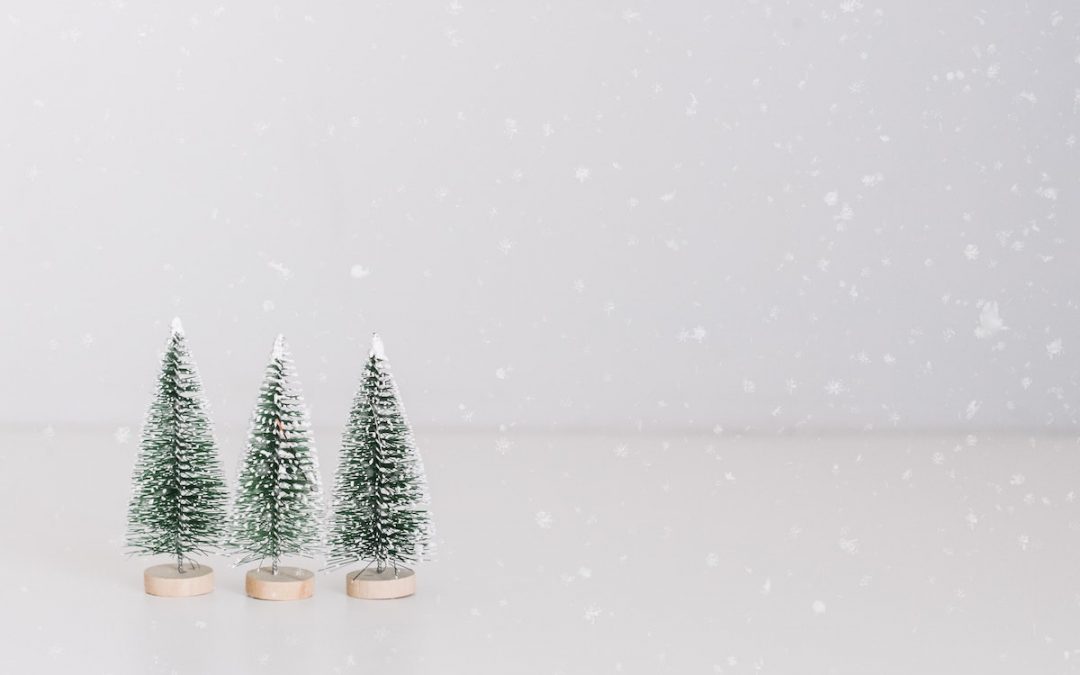 Socially Distanced Christmas Events