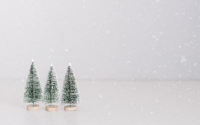 Socially Distanced Christmas Events