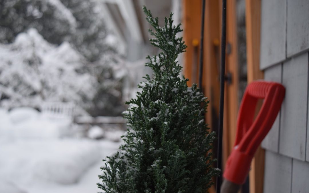 Christmas Away From Home