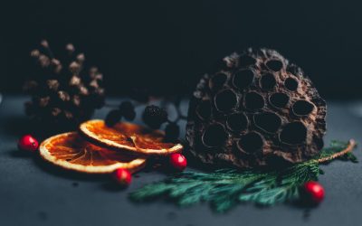 Jesus, the Grandest Story of All