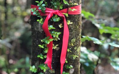 The Scarlet Ribbon of Redemption