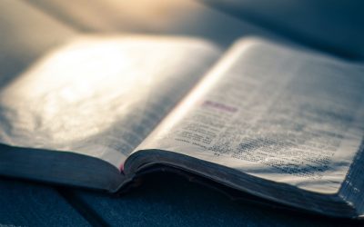 How to Memorize Scripture by Accident