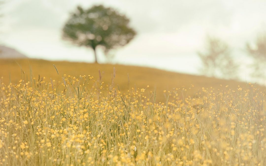 The Healing Power of God