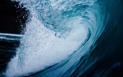 Everyone in Your Wake