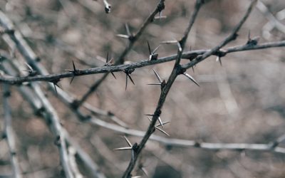 Alone, So You Wouldn’t Be