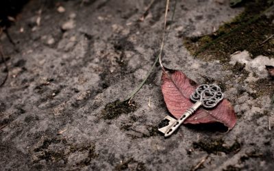 Discipline or Desperation? The Key to Living Free in Christ.