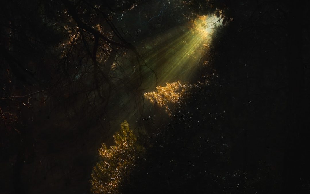 The Call to Radiance