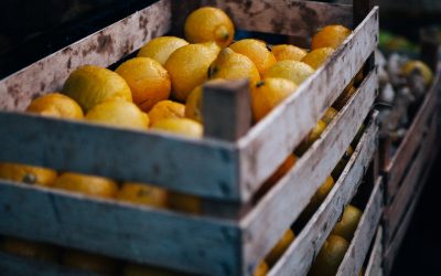 How Churches Are Adapting to the Ever-Changing Dynamics of Hunger-Relief