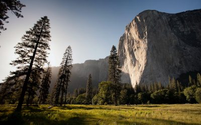 Walking in God’s Known Will