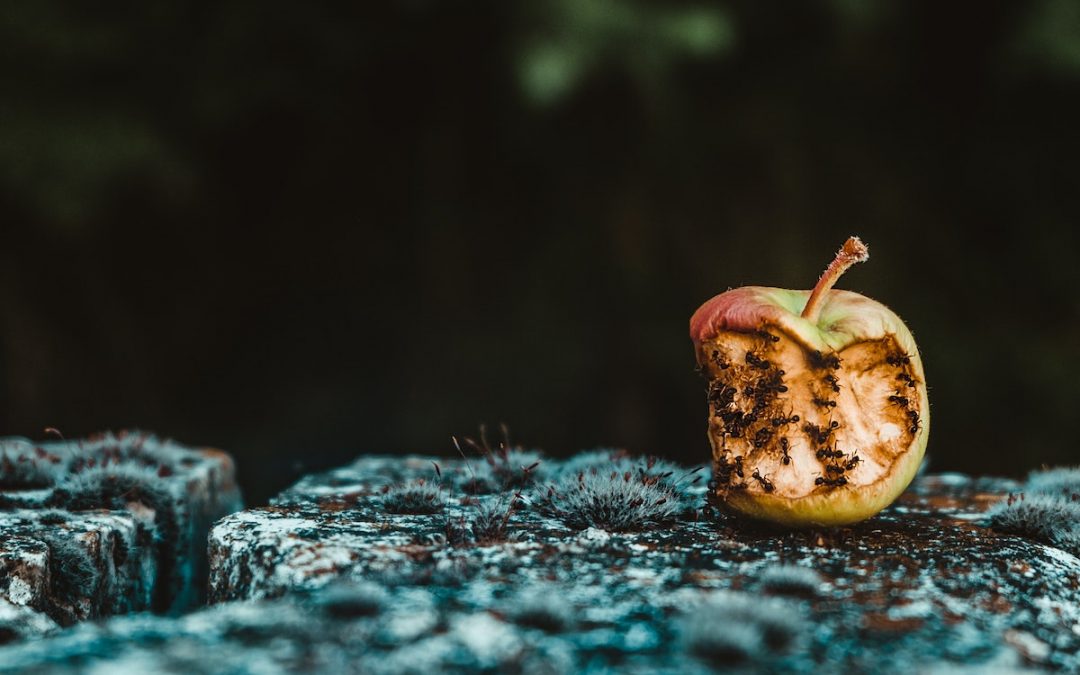 How Can God be Good When the Church is Bad?
