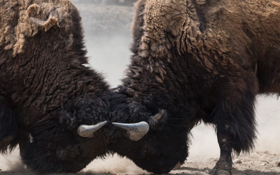 Leading toward Unity in a Culture of Outrage