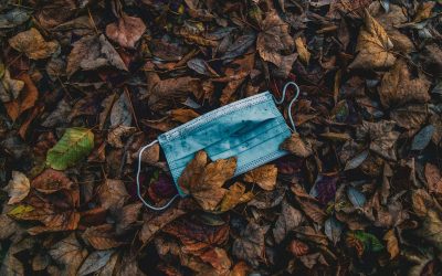 Lessons of the Lockdown