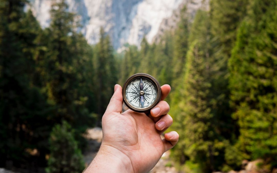 When Leaders Need a Leader: How to Be Led Well