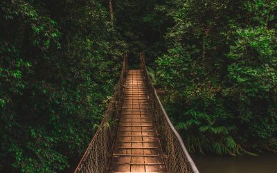 Innovation Takes Courage