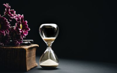 I Have Zero Time: Strategies for Engaging the Bible When You Don’t Even get to go to the Bathroom by Yourself