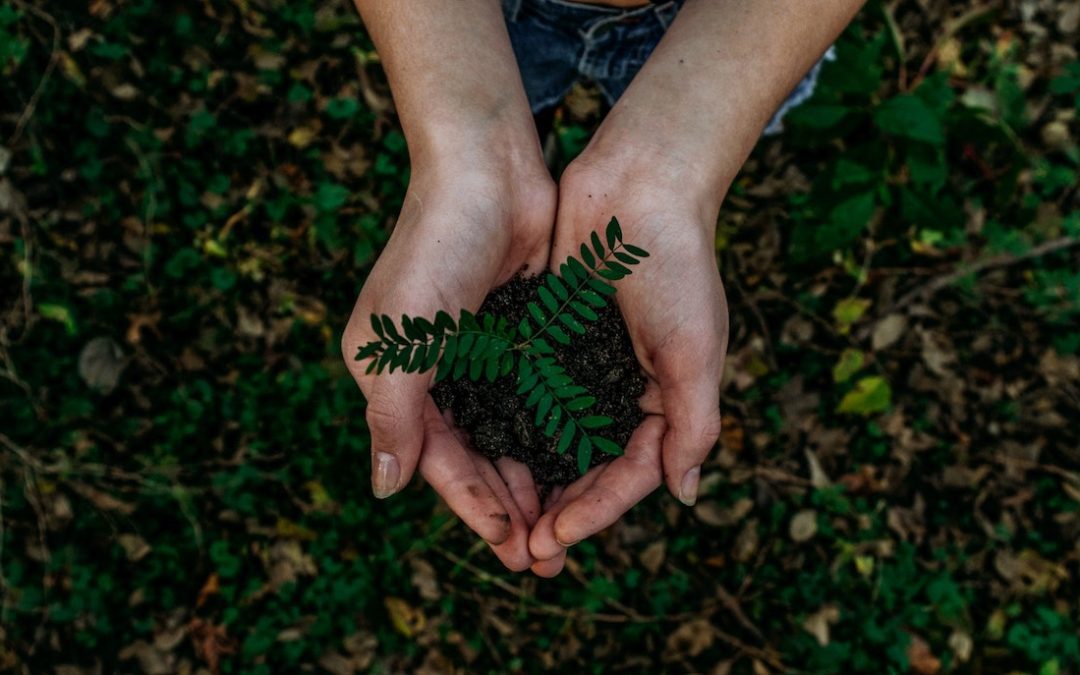 New Year, Renewed Church: How to Refresh Your Church in 2022