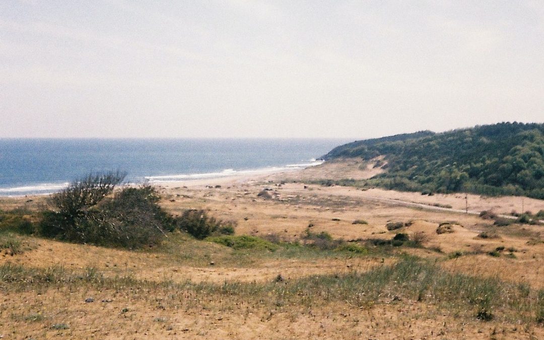 How Ancient Prayers Bring Us Stability for Uncertain Times 