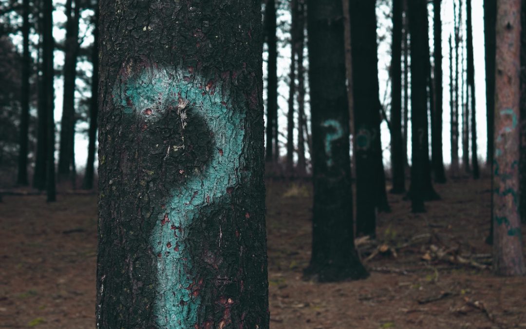 Teaching Your Teenager to Ask Questions