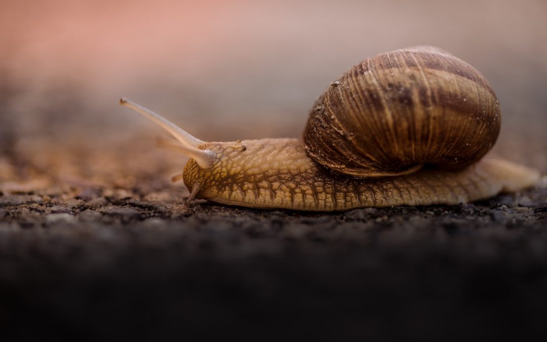 Jesus-Approved Self-Care