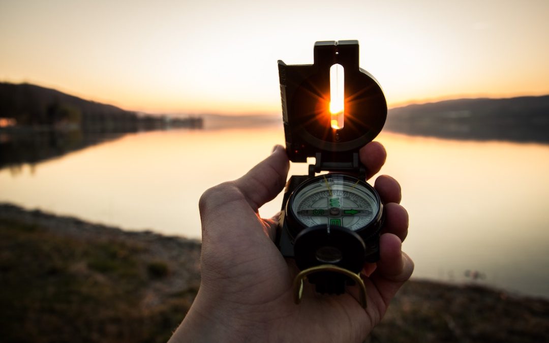 Guided By My Shepherd