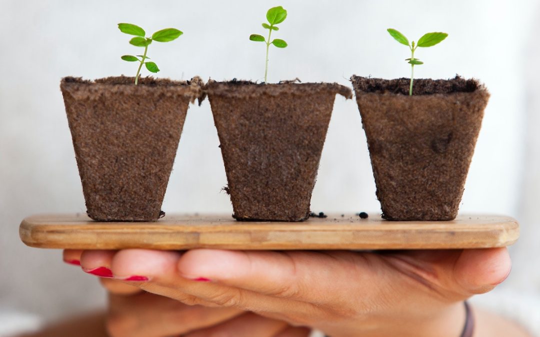 Renewals need renewing.