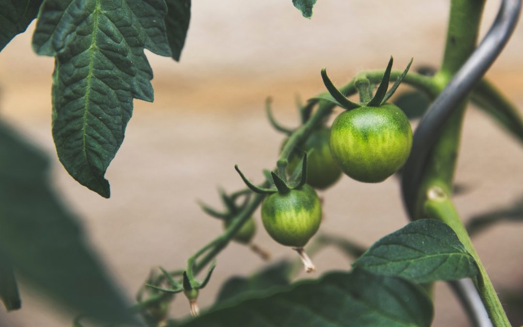 God is Faithful…to Teach You Faithfulness