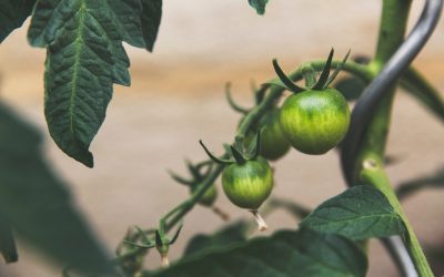 God is Faithful…to Teach You Faithfulness