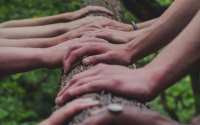 Centering Discipleship