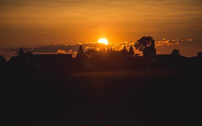 Finding Peace in Life’s Uncertainties