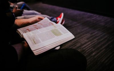 Revitalize Bible Reading