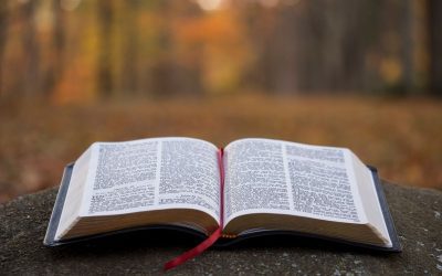 Reading for Transformation