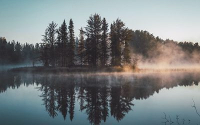 Transformative Scripture Meditation