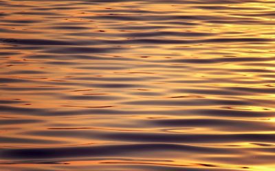 Encountering God’s Love in Near-Death Experiences